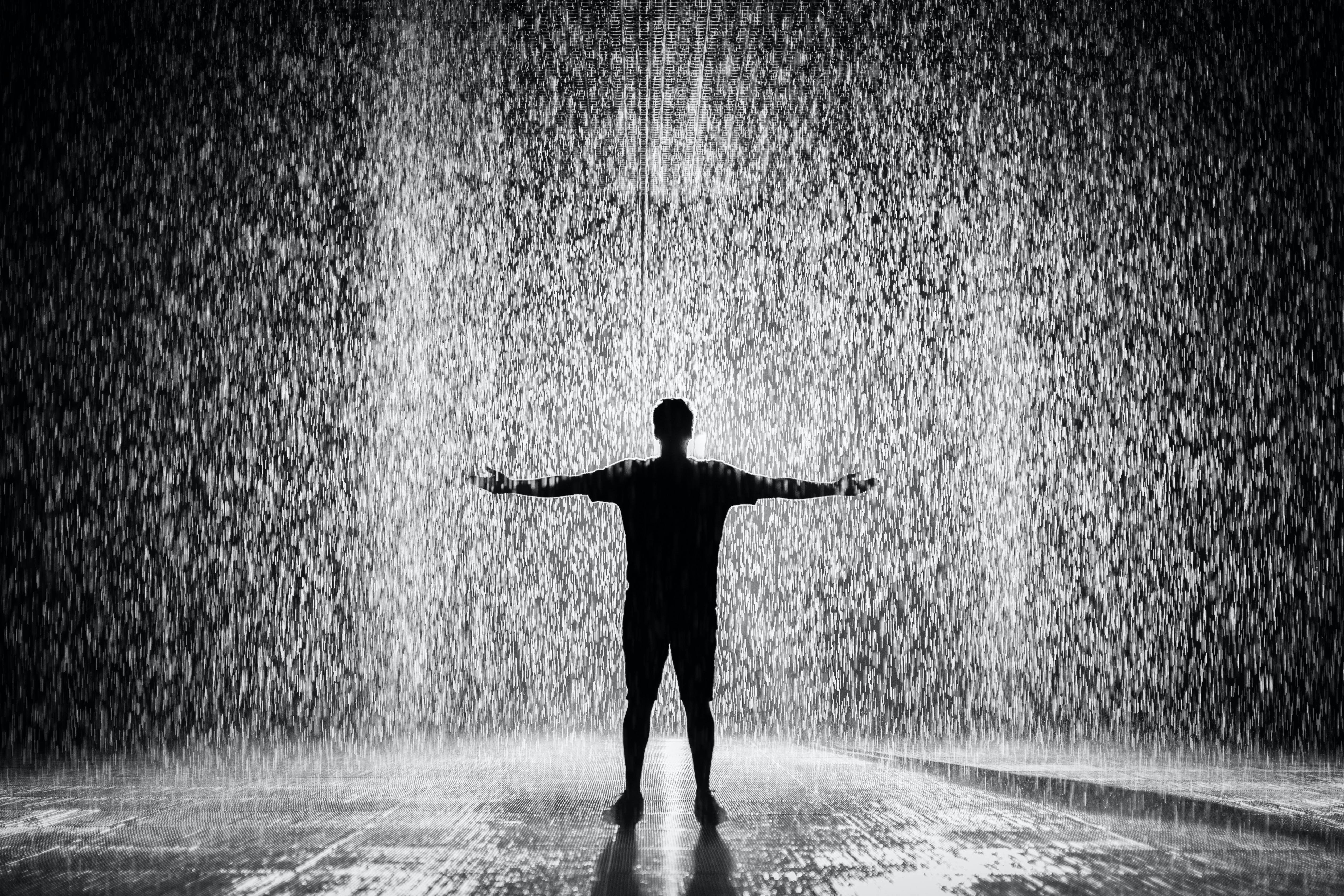 Mi imagen
